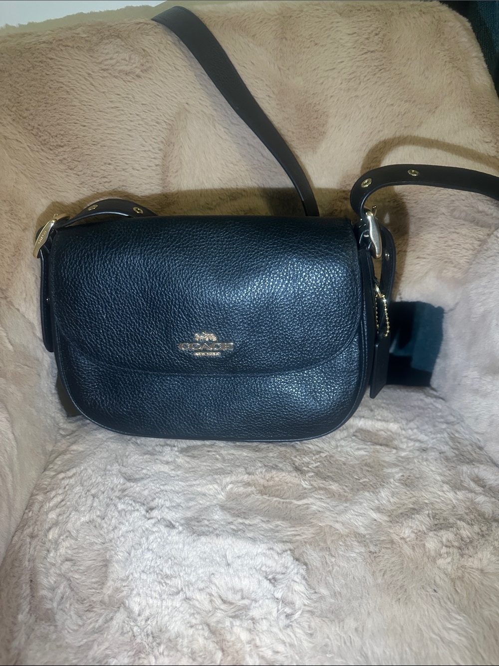 Coach Black Pebbled Leather Crossbody Saddle Bag with Gold Hardware